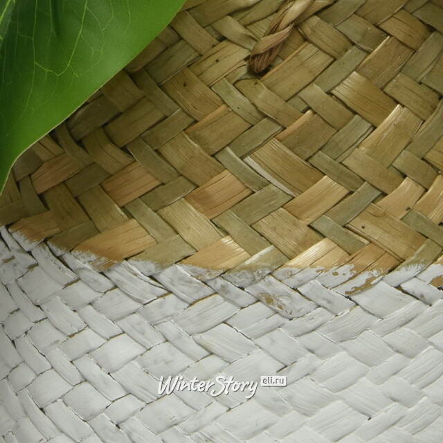 Искусственное растение в горшке Монстера Brunno 26 см Kaemingk