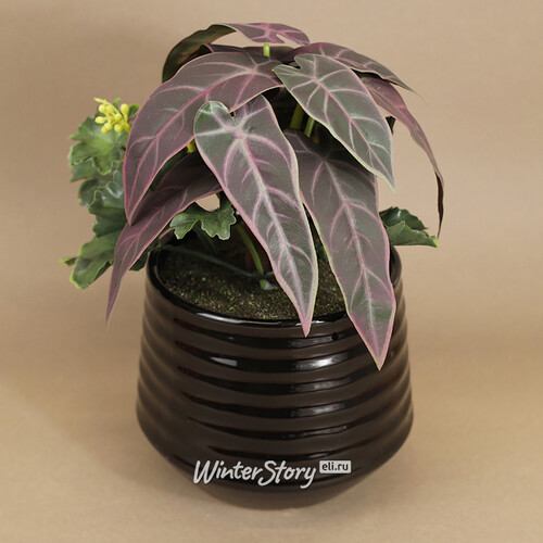 Искусственное растение в горшке Alocasia Purple 25 см Kaemingk