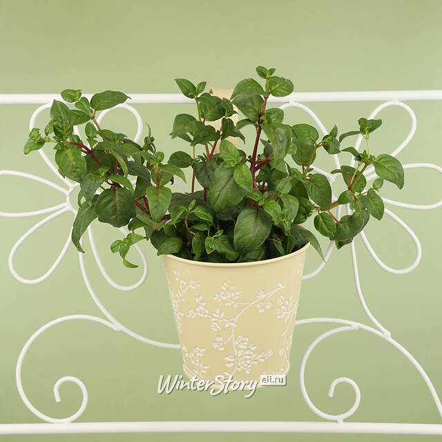 Подвесное кашпо-ведерко для балкона Амальфи 14 см желтое, металл Kaemingk