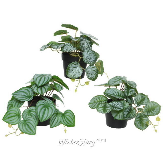 Искусственное растение в горшке Cefrado 18 см Kaemingk