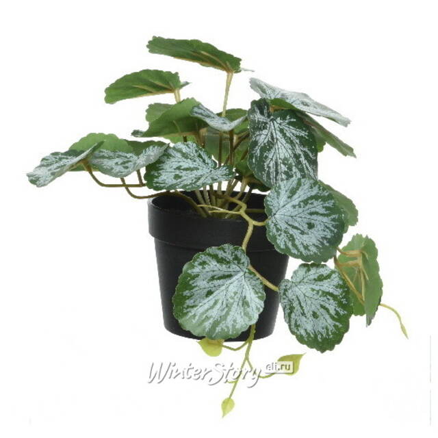 Искусственное растение в горшке Viafroya 18 см Kaemingk