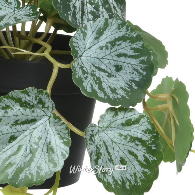 Искусственное растение в горшке Viafroya 18 см Kaemingk