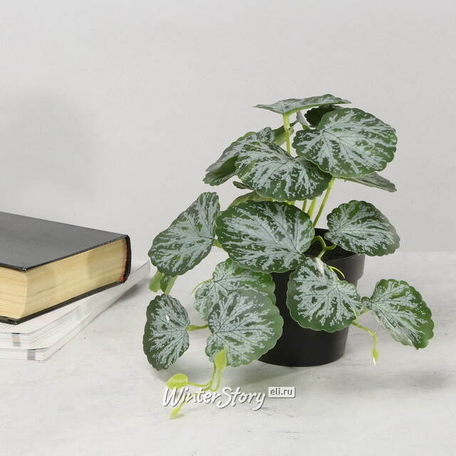 Искусственное растение в горшке Viafroya 18 см Kaemingk