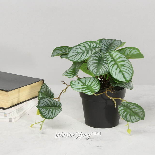 Искусственное растение в горшке Cefrado 18 см Kaemingk