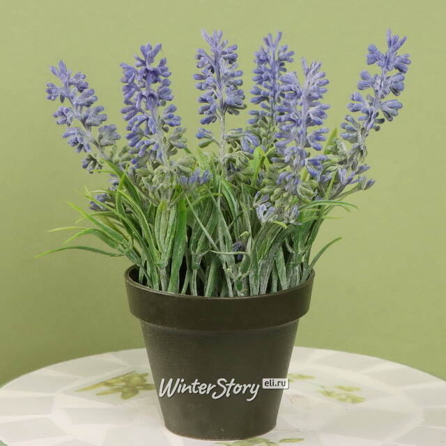 Искусственная Лаванда Loddon Blue в цветочном горшке 17 см Kaemingk