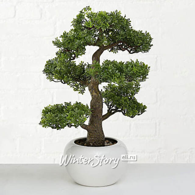 Искусственный бонсай Зантоксилум 47 см Boltze