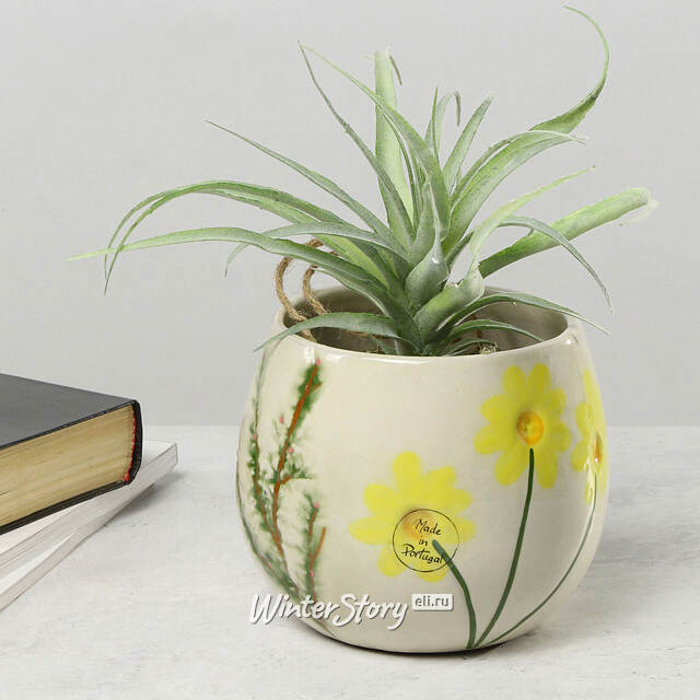 Набор декоративных кашпо Fiore Solare 10-16 см, 2 шт Kaemingk