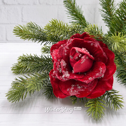 Роза Selvaggio заснеженная 18 см красная, клипса Christmas Deluxe