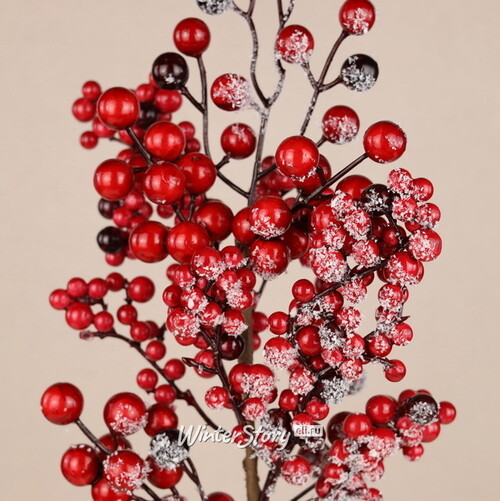 Декоративная ветка с ягодами Пауло 55 см, заснеженная Christmas Deluxe