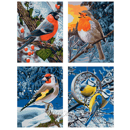 Набор картин по номерам "Птицы зимой", 18*24 см, 4 шт Schipper