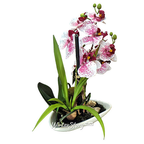 Орхидея в кашпо миниатюрная, бело-розовая, 29 см Edelman