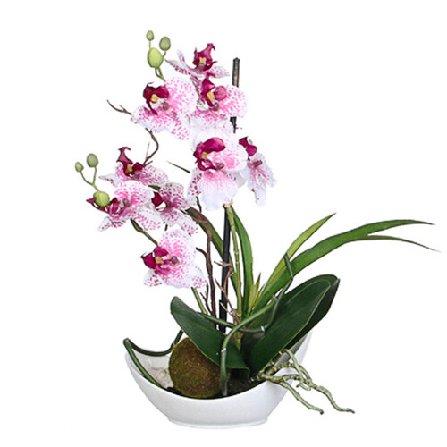 Орхидея в кашпо миниатюрная, бело-розовая, 29 см Edelman