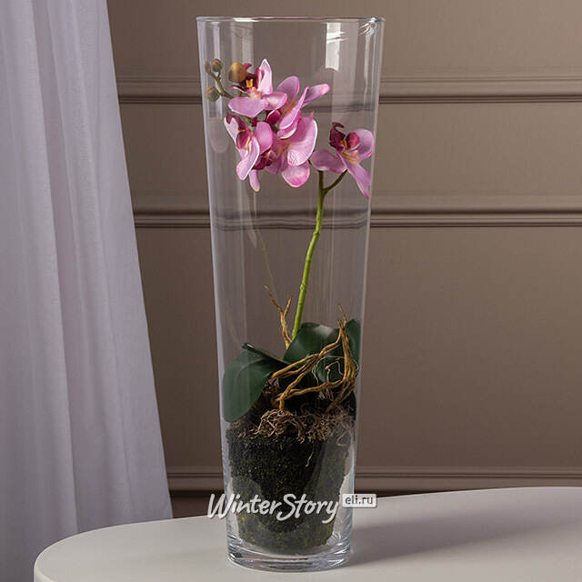 Искусственный цветок в кашпо Орхидея Royal Rosea 50 см Edelman