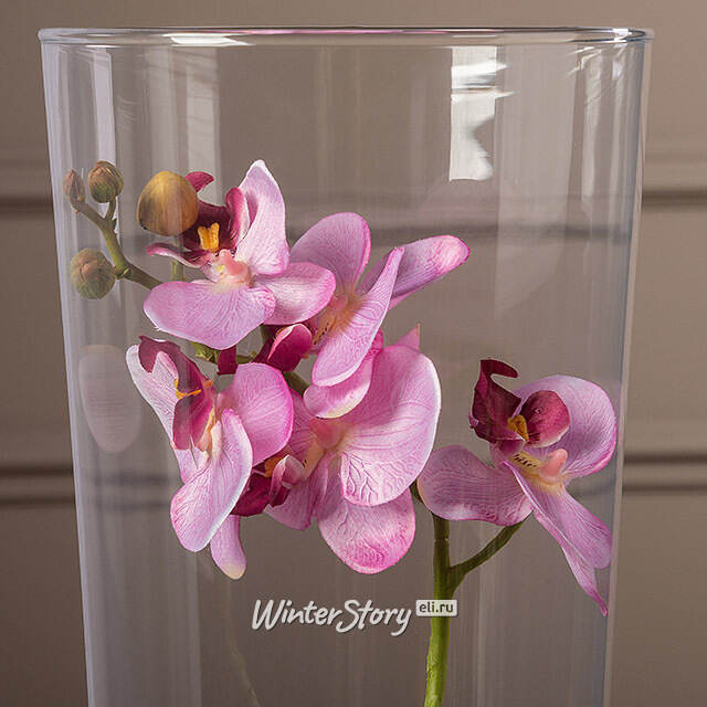 Искусственный цветок в кашпо Орхидея Royal Rosea 50 см Edelman