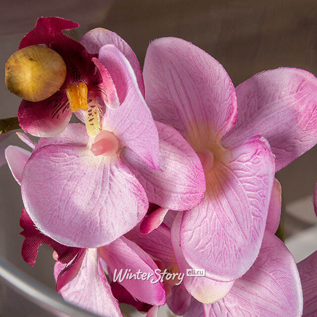 Искусственный цветок в кашпо Орхидея Royal Rosea 50 см Edelman