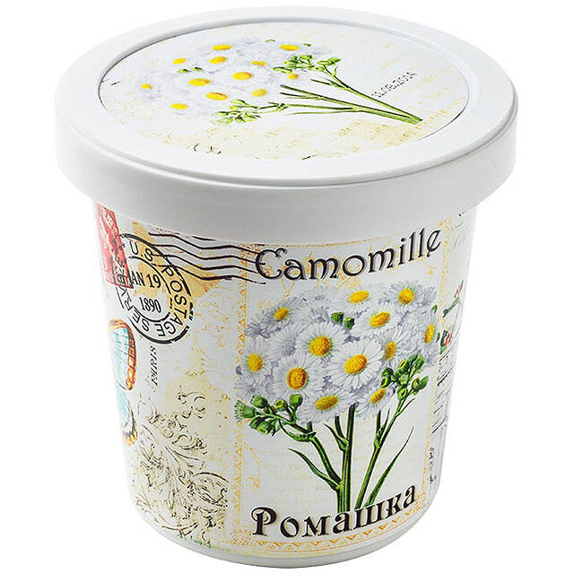 Набор для выращивания цветка Ромашка Rostokvisa (Ростоквиса)