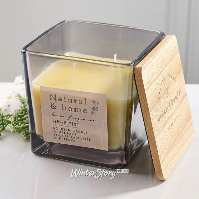 Ароматическая свеча Pfeffer Minze 10 см, в стеклянном стакане Koopman