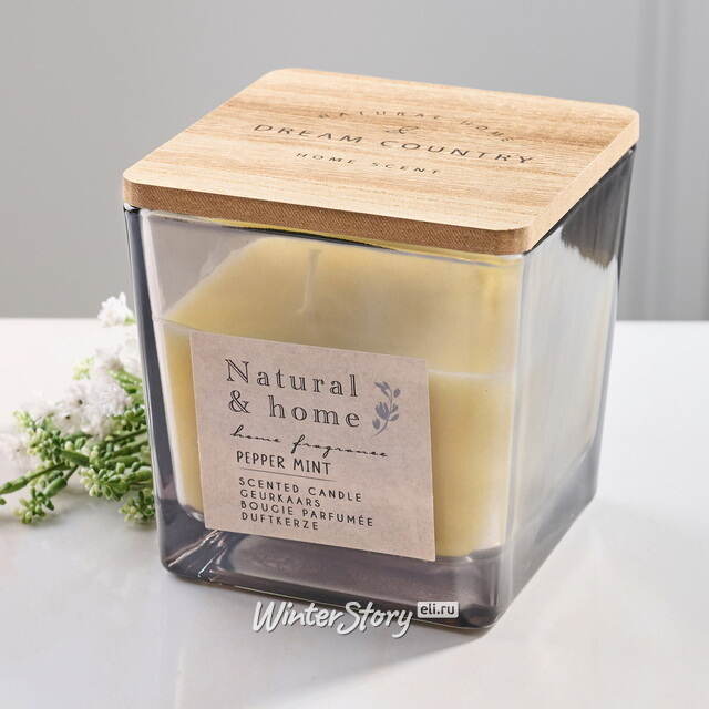 Ароматическая свеча Pfeffer Minze 10 см, в стеклянном стакане Koopman