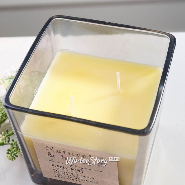 Ароматическая свеча Pfeffer Minze 10 см, в стеклянном стакане Koopman