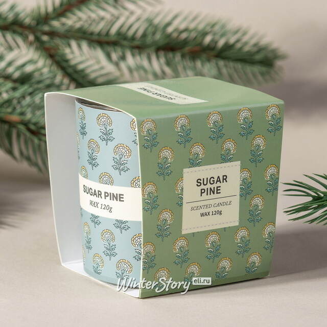 Ароматическая свеча Прованс - Sugar Pine 8 см Koopman (Купман)