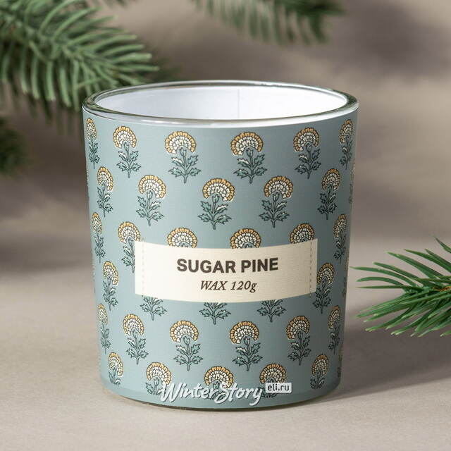 Ароматическая свеча Прованс - Sugar Pine 8 см Koopman (Купман)