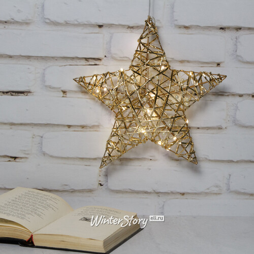 Светодиодная фигура Звезда Дженарро - Golden Gloss 30 см, 20 теплых белых LED ламп, на батарейках, IP20 Koopman