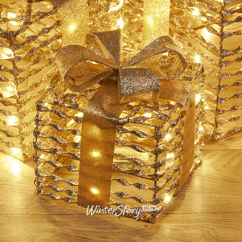 Светящиеся подарки под елку Woodybrook - Champagne Scroll 17-30 см, 3 шт, теплые белые LED лампы, таймер, на батарейках, IP20 Koopman