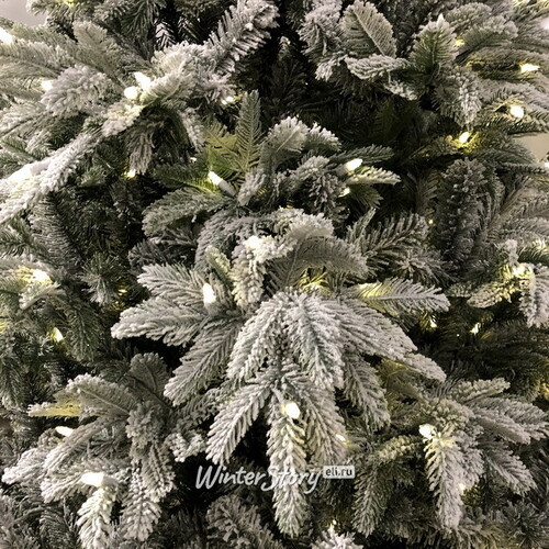 Искусственная елка с огоньками Андорра заснеженная 183 см, 250 теплых белых ламп, ЛИТАЯ + ПВХ National Tree Company