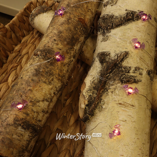 Светодиодная гирлянда на батарейках Летучие Мышки 2.2 м, 15 теплых белых LED ламп, серебряная проволока, IP20 Koopman