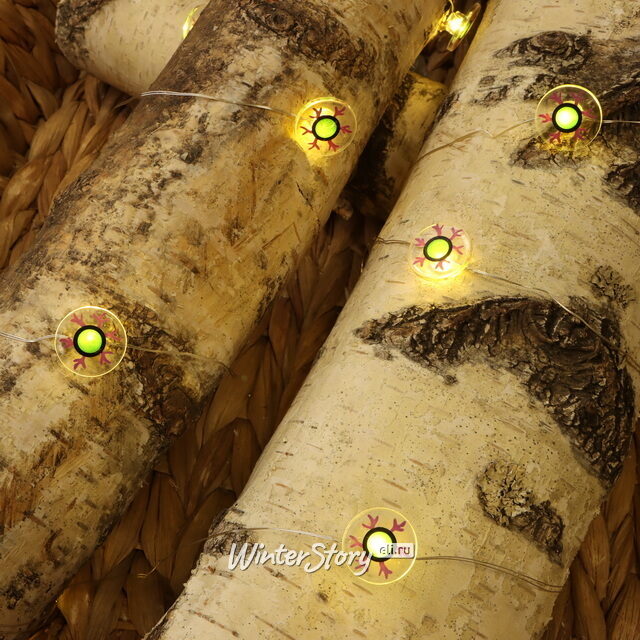 Светодиодная гирлянда на батарейках Mystic Eyes 2.2 м, 15 теплых белых LED ламп, прозрачный ПВХ, IP20 Koopman