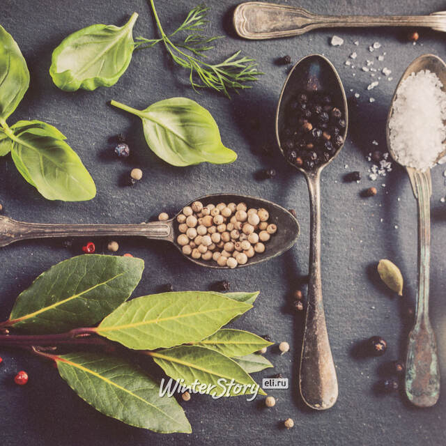 Набор плейсматов Kitchen Herbs 44*29 см, 4 шт Koopman