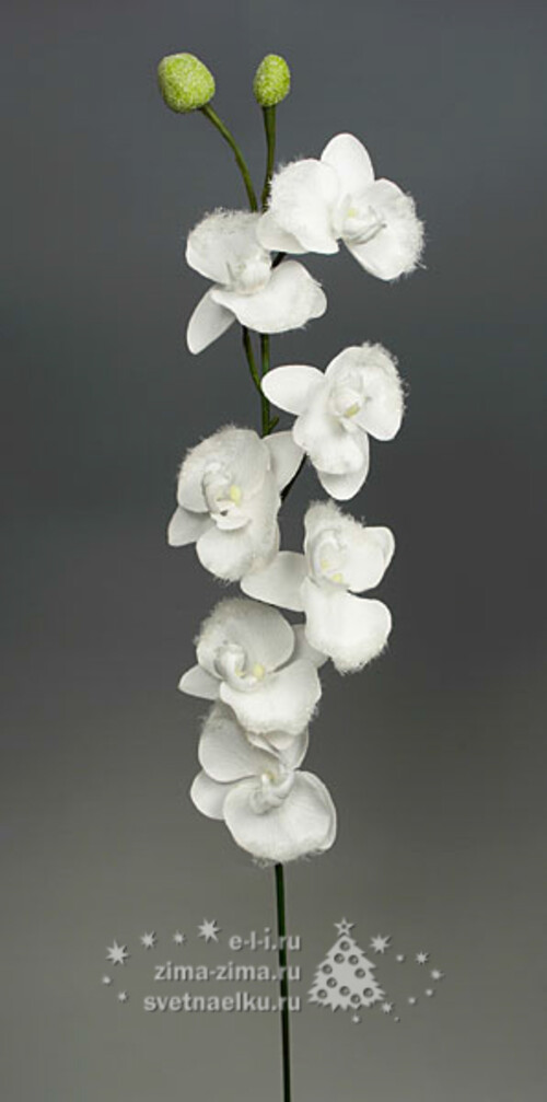 Орхидея заснеженная белая, 84см