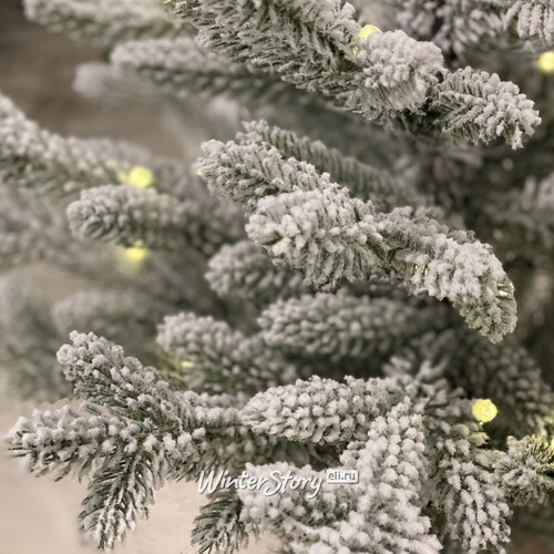 Настольная елка Кембридж со светодиодами заснеженная в мешочке 75 см, 35 теплых белых LED ламп на батарейках, ЛИТАЯ 100% National Tree Company