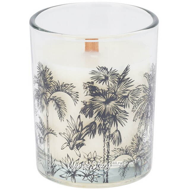 Ароматическая свеча в стакане Jungle Safari 10 см Koopman