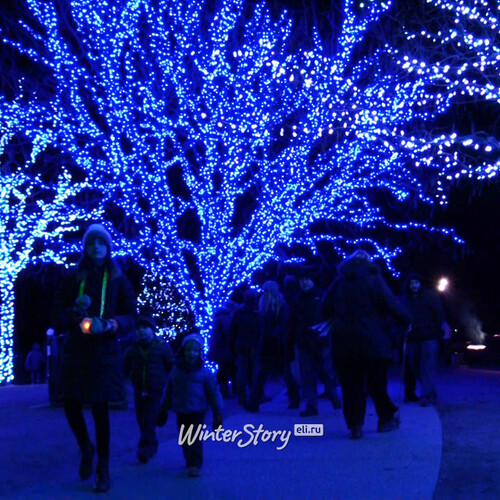 Гирлянды на дерево Клип Лайт Quality Light 60 м, 600 синих LED ламп, прозрачный ПВХ, IP44 BEAUTY LED