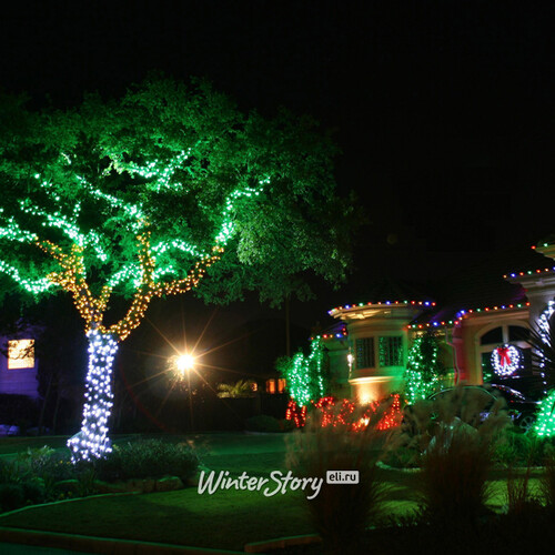 Гирлянды на дерево Клип Лайт Quality Light 100 м, 1000 зеленых LED ламп, с мерцанием, прозрачный ПВХ, IP44 BEAUTY LED