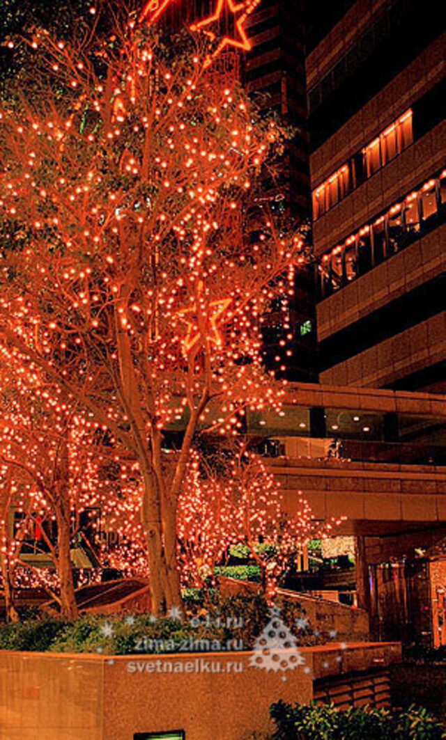 Катушка CLIP LIGHT,30м, красные LEDлампы, 200/15см