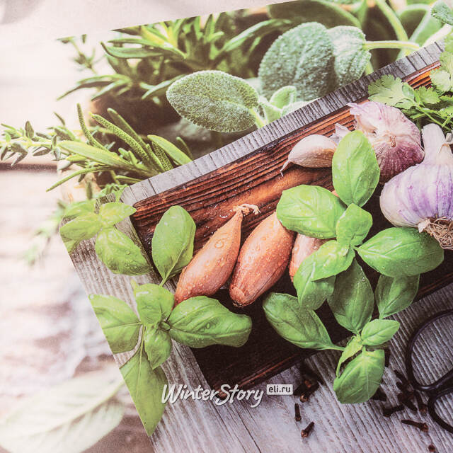 Набор плейсматов Herbs Laboratory 44*29 см, 4 шт Koopman