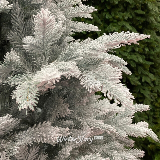 Искусственная елка Датская Голубая заиндевелая 155 см, ЛИТАЯ 100% Царь Елка