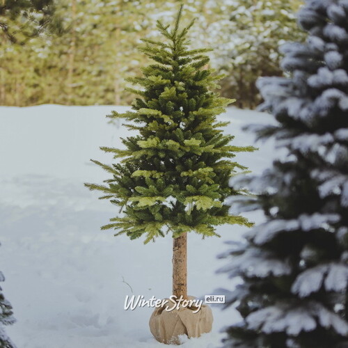 Искусственная елка Alaska 210 см с натуральным стволом, ЛИТАЯ + ПВХ Decorland