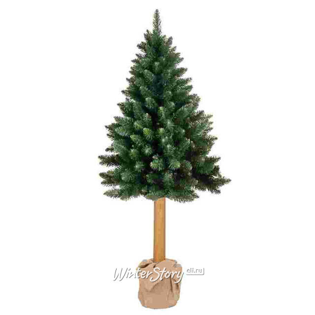 Искусственная елка Pinus 160 см с натуральным стволом, ПВХ Decorland