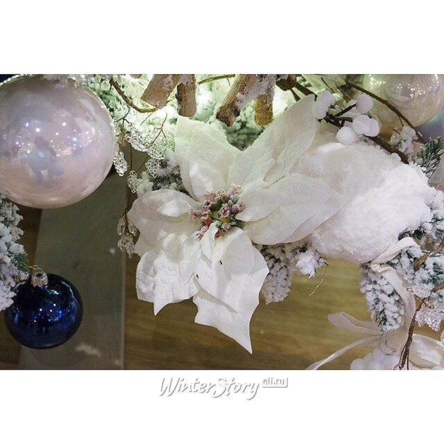 Пуансеттия Императорская 24 см белоснежная, клипса Kaemingk