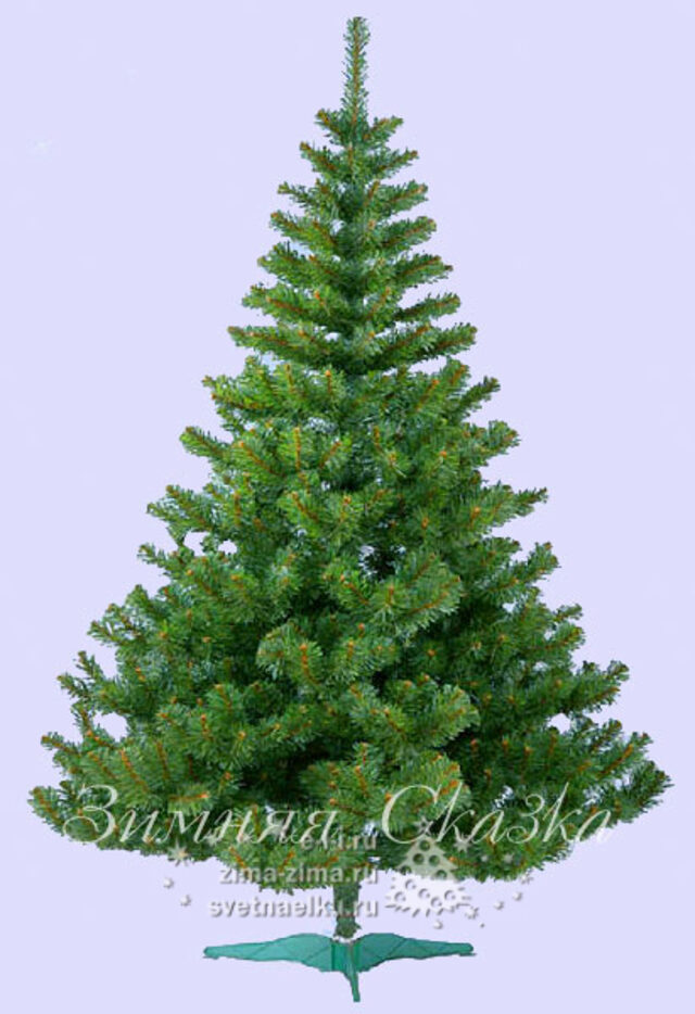 Ель Кистина, производство Ели Пинери