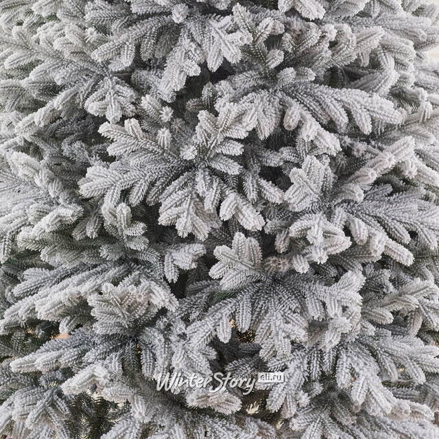 Искусственная елка Версальская заснеженная 180 см, ЛИТАЯ 100% Max Christmas