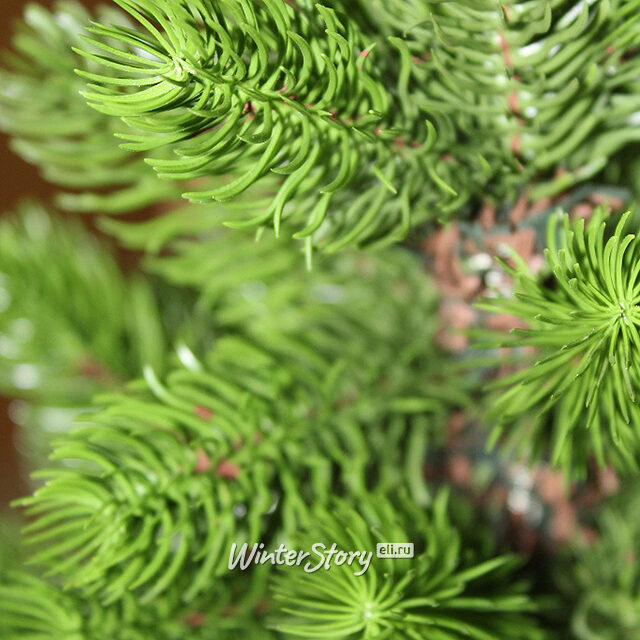 Настольная елка Dakota 60 см, ЛИТАЯ 100% Beatrees