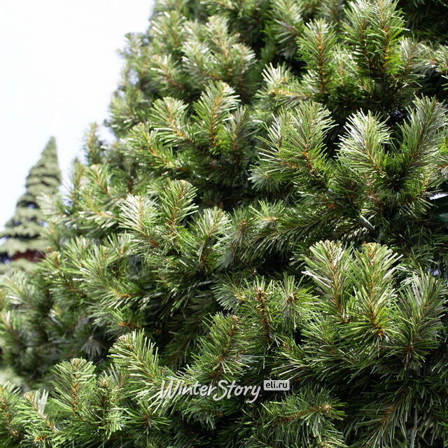 Уличная каркасная елка Испанская 19 м, ПВХ GREEN TREES