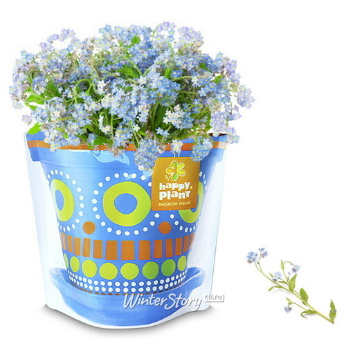 Набор для выращивания Незабудка голубая Happy Plant