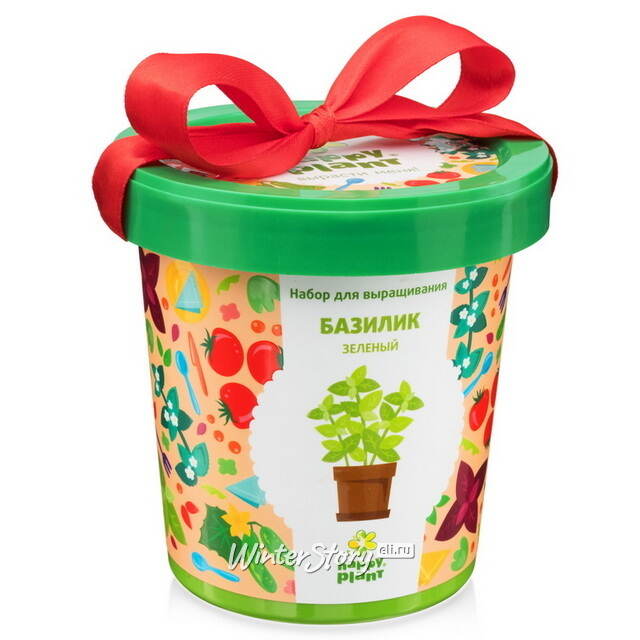Набор для выращивания Базилик зеленый в горшке Happy Plant (Хэппи Плант)