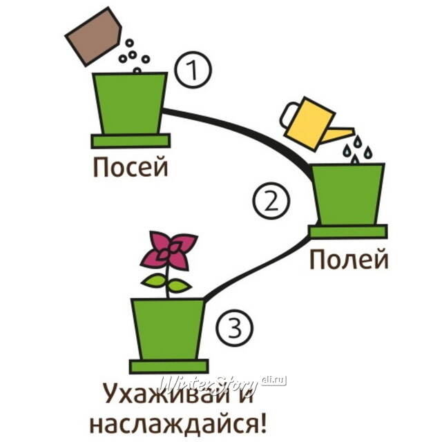 Набор для выращивания Флокс Очарование в горшке Happy Plant (Хэппи Плант)