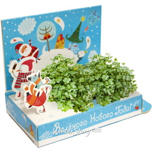 Подарочный набор Живая открытка - Зелёного Нового Года Happy Plant